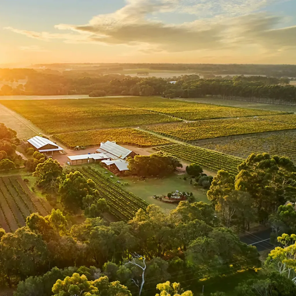 Cullen Wines - 1