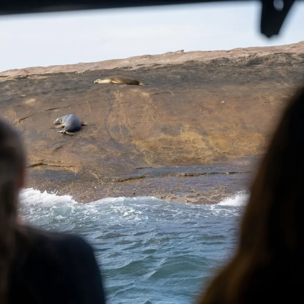 Esperance Island Cruises - 2