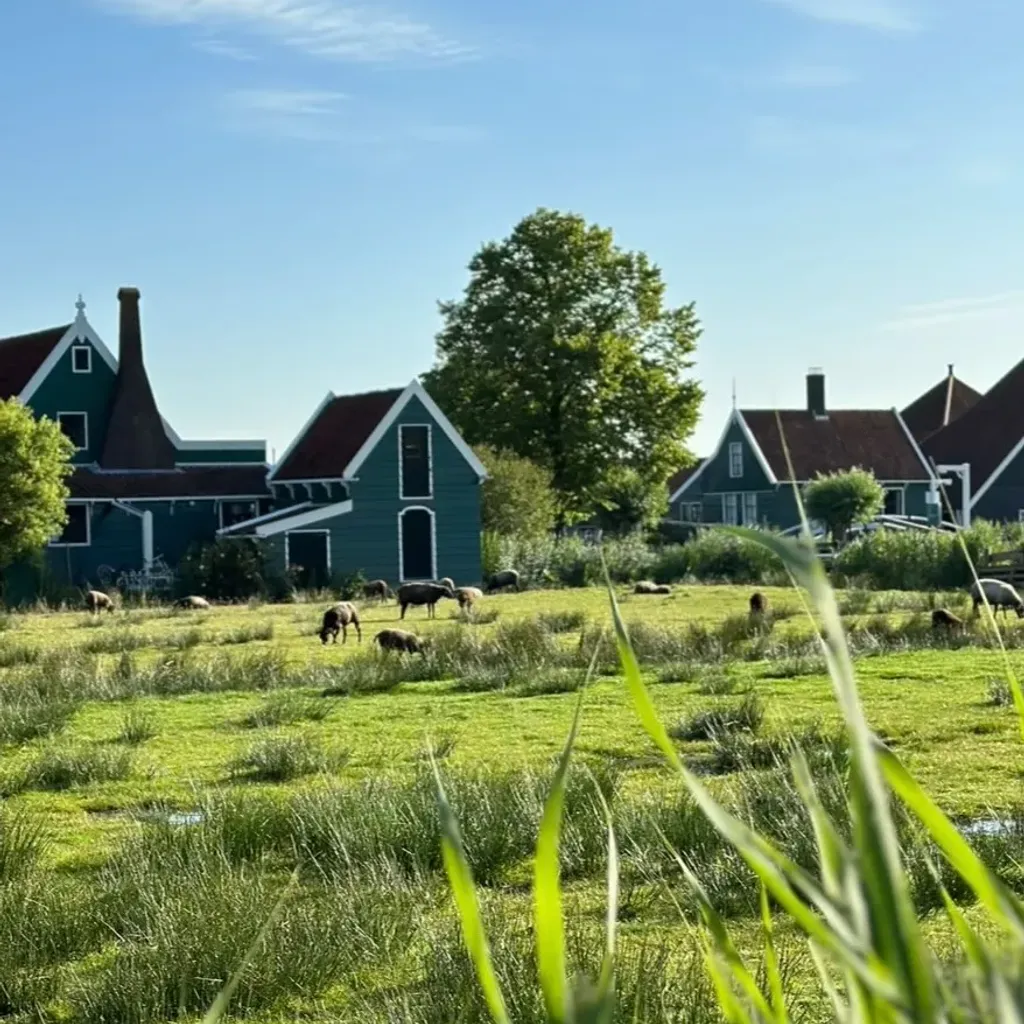 Zaanse Schans Windmill - 4