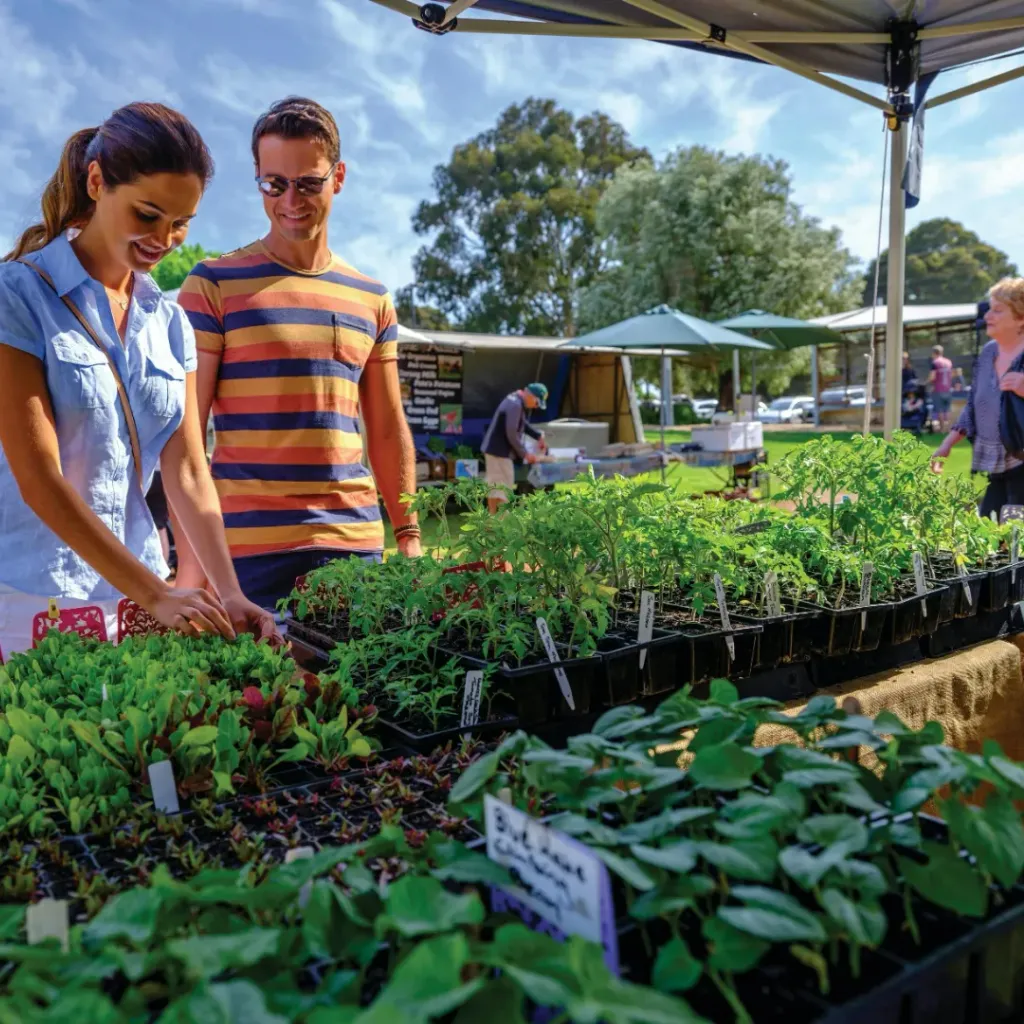Margaret River Farmers Market - 3