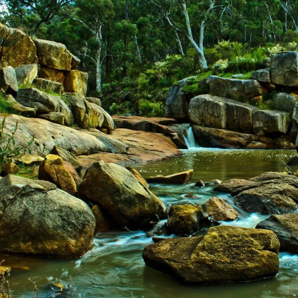 Kalamunda National Park - 1