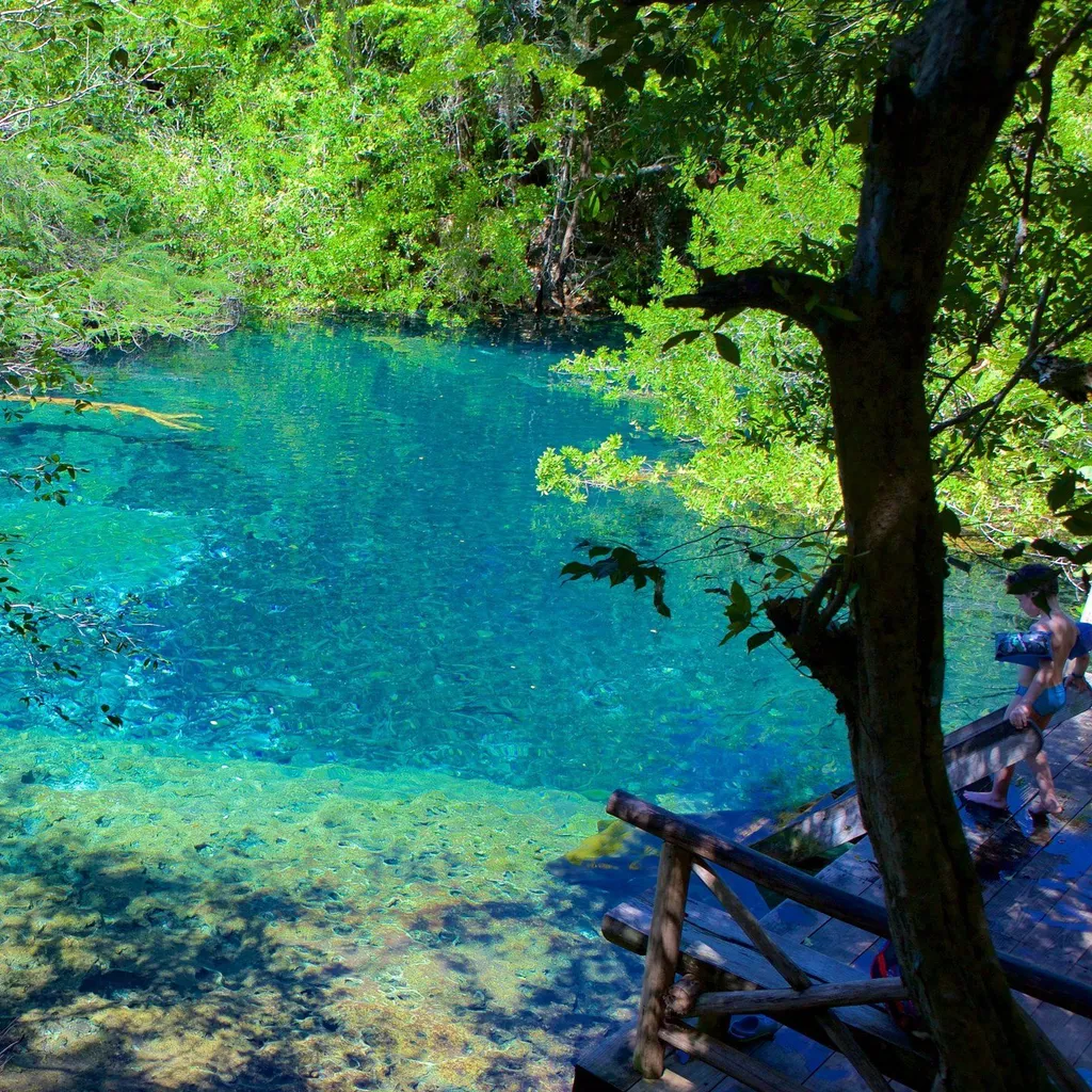 Indigenous Eyes Ecological Reserve - 2