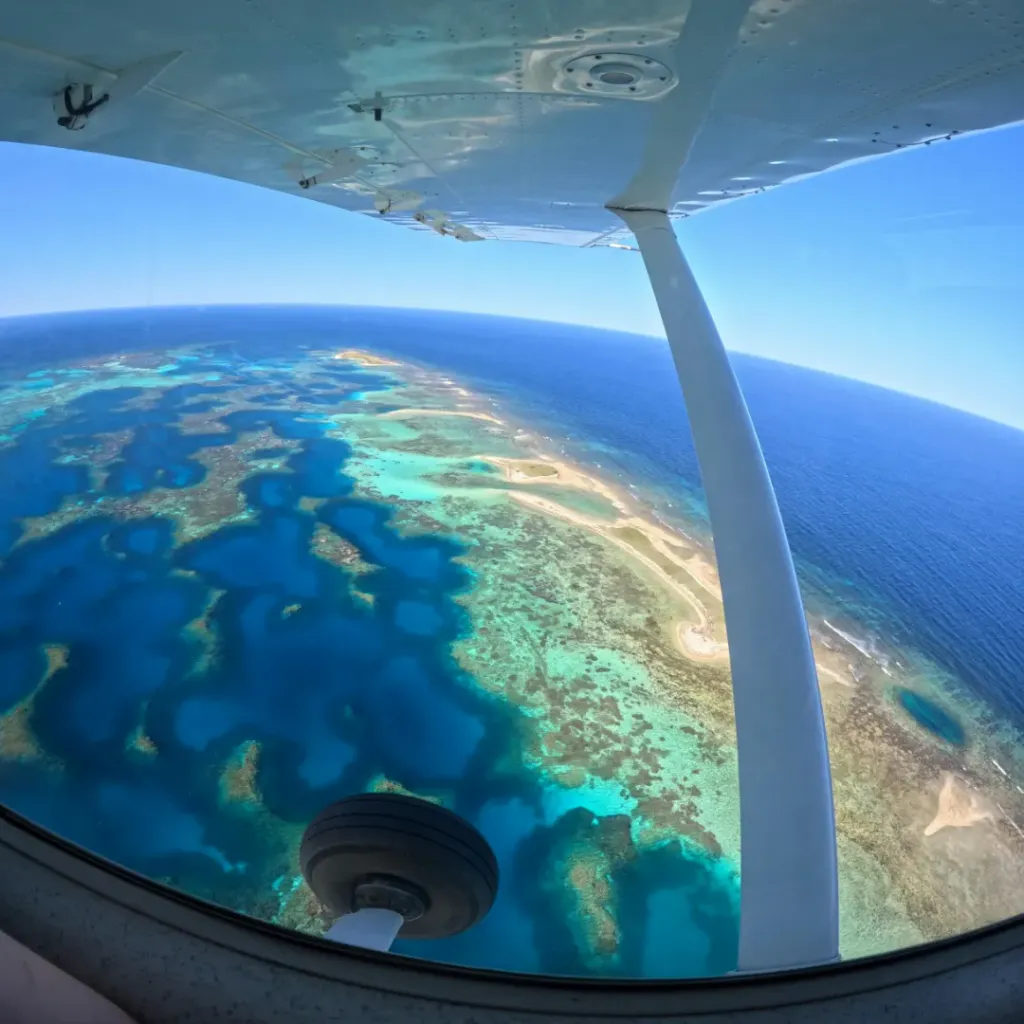 Shark Bay Scenic Flights powered by Nationwest Aviation - 4