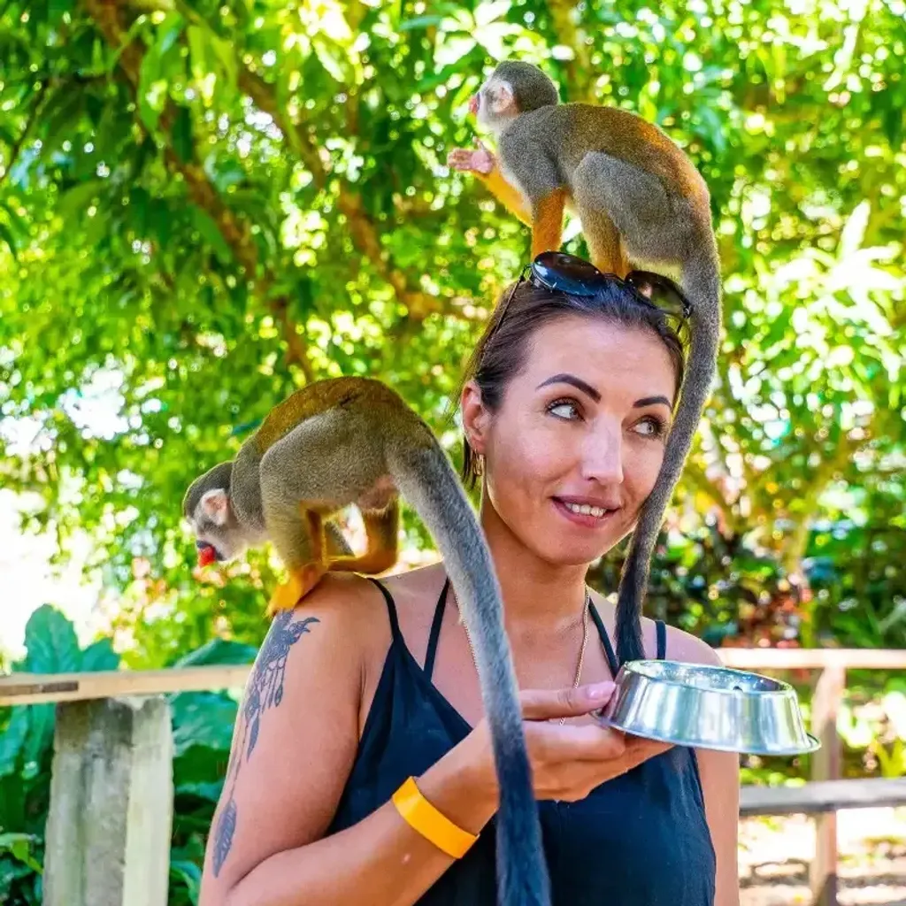 Monkeyland - 2