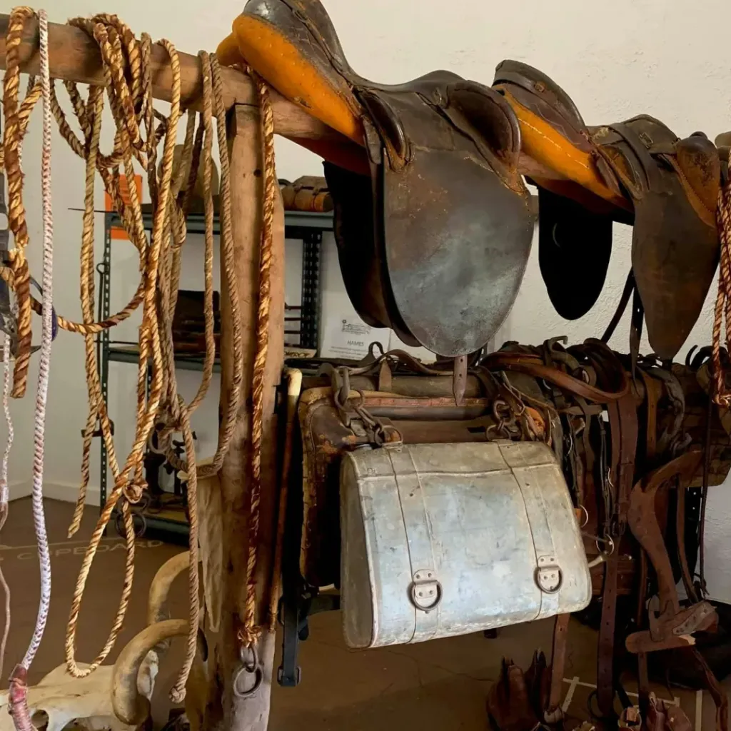 Azelia Ley Homestead Museum - 1