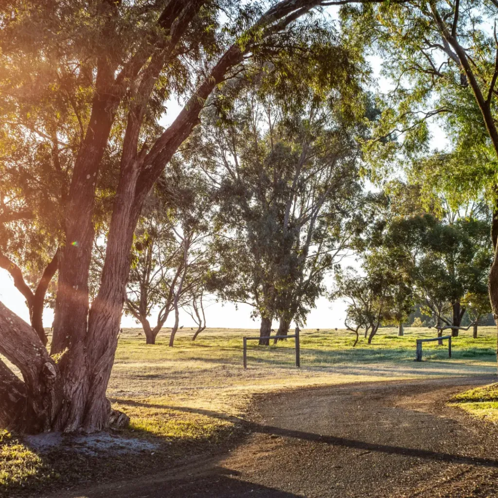 Forest Rise Chalets and Lodge - Margaret River - 1