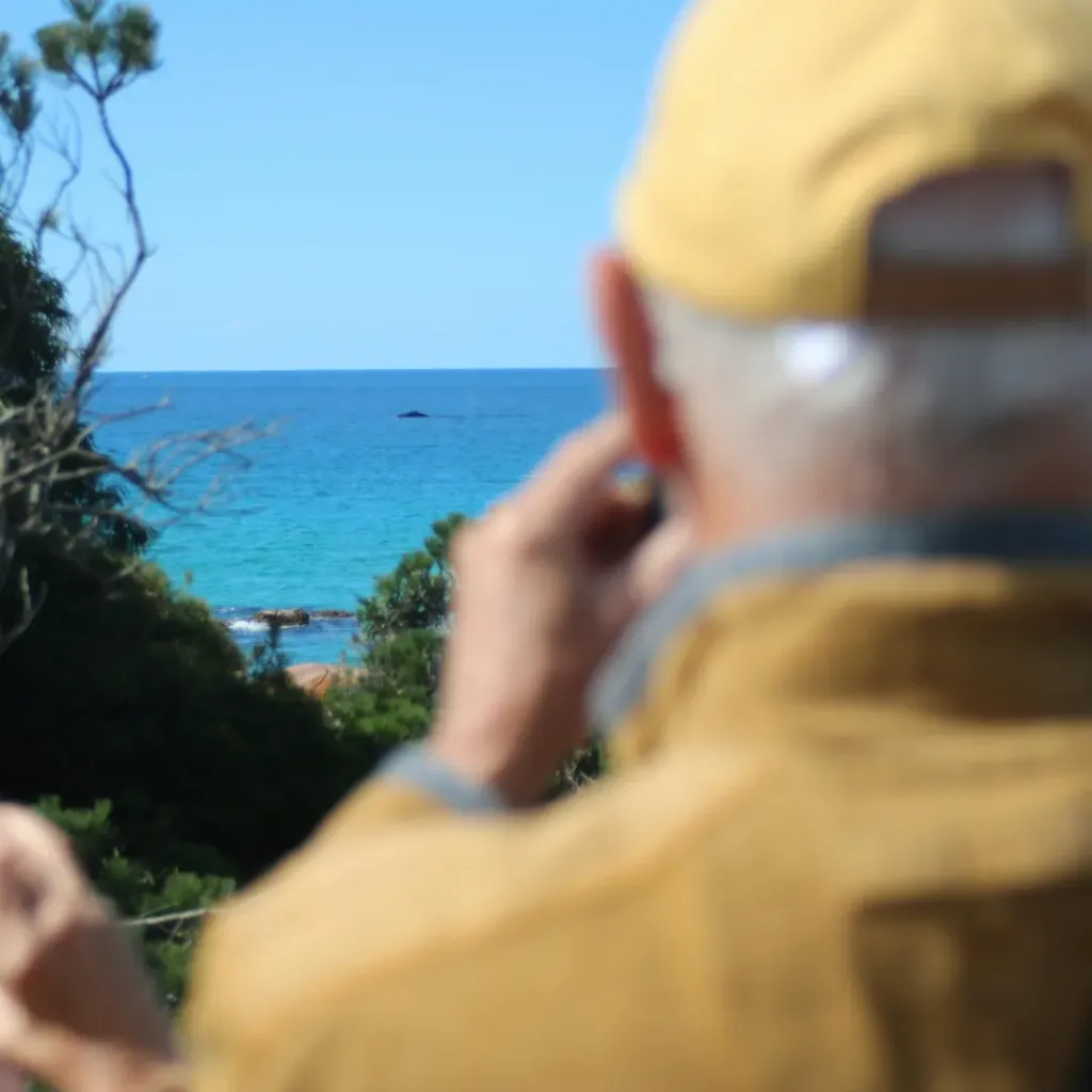 South West Eco Discoveries - 3
