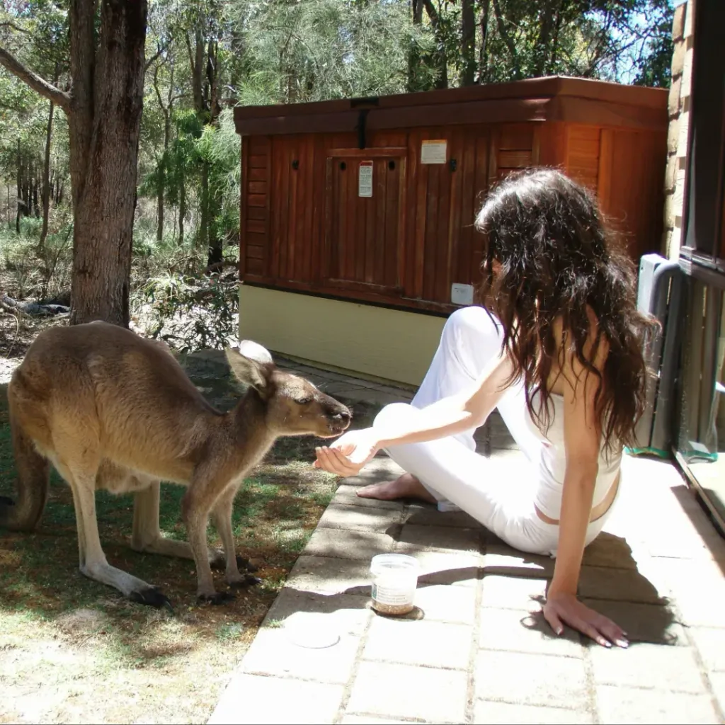 Yelverton Brook Conservation Sanctuary Margaret River Region - 2