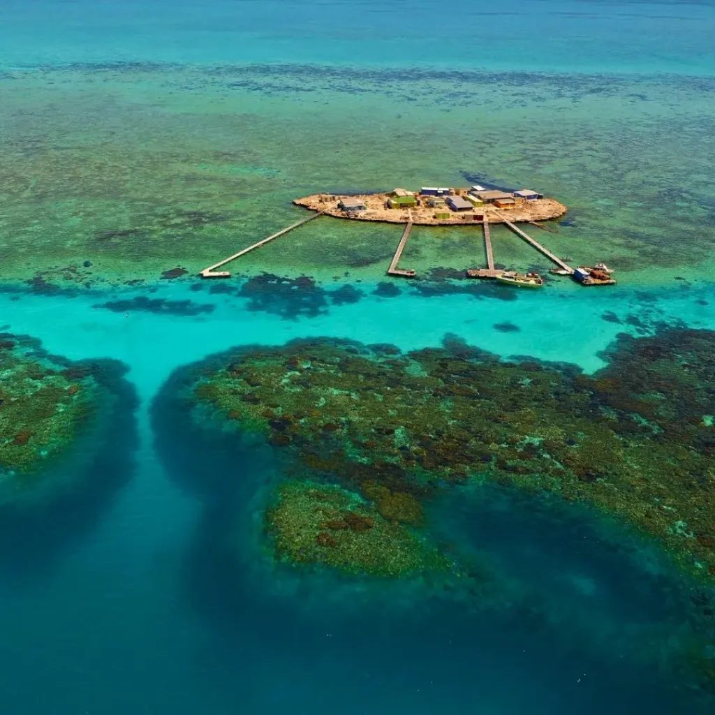 Abrolhos Islands - 1