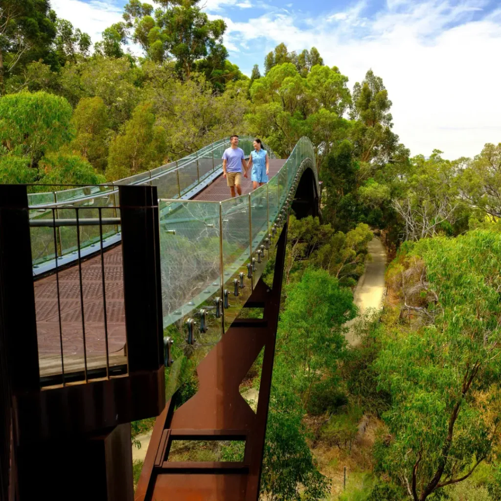 Lotterywest Federation Walkway - 1