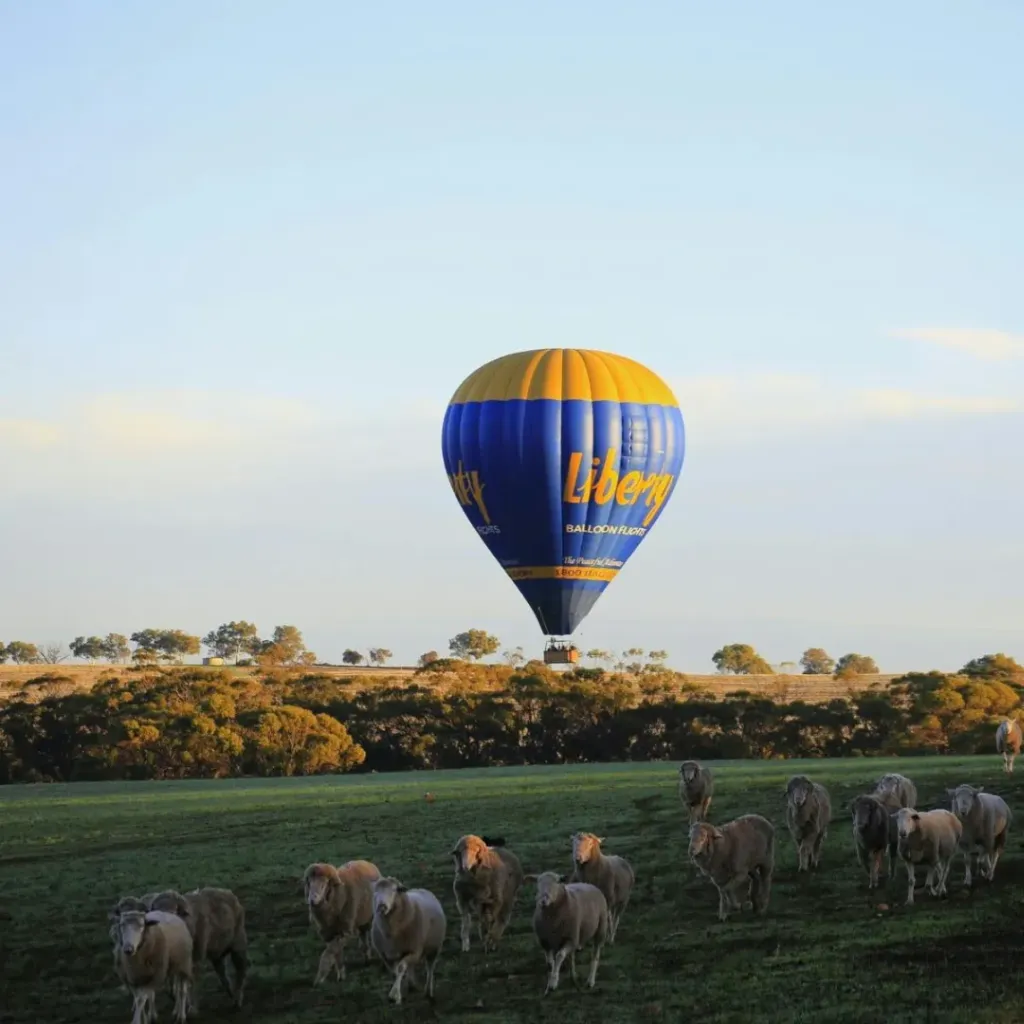 Liberty Balloon Flights Perth - Avon Valley - 4