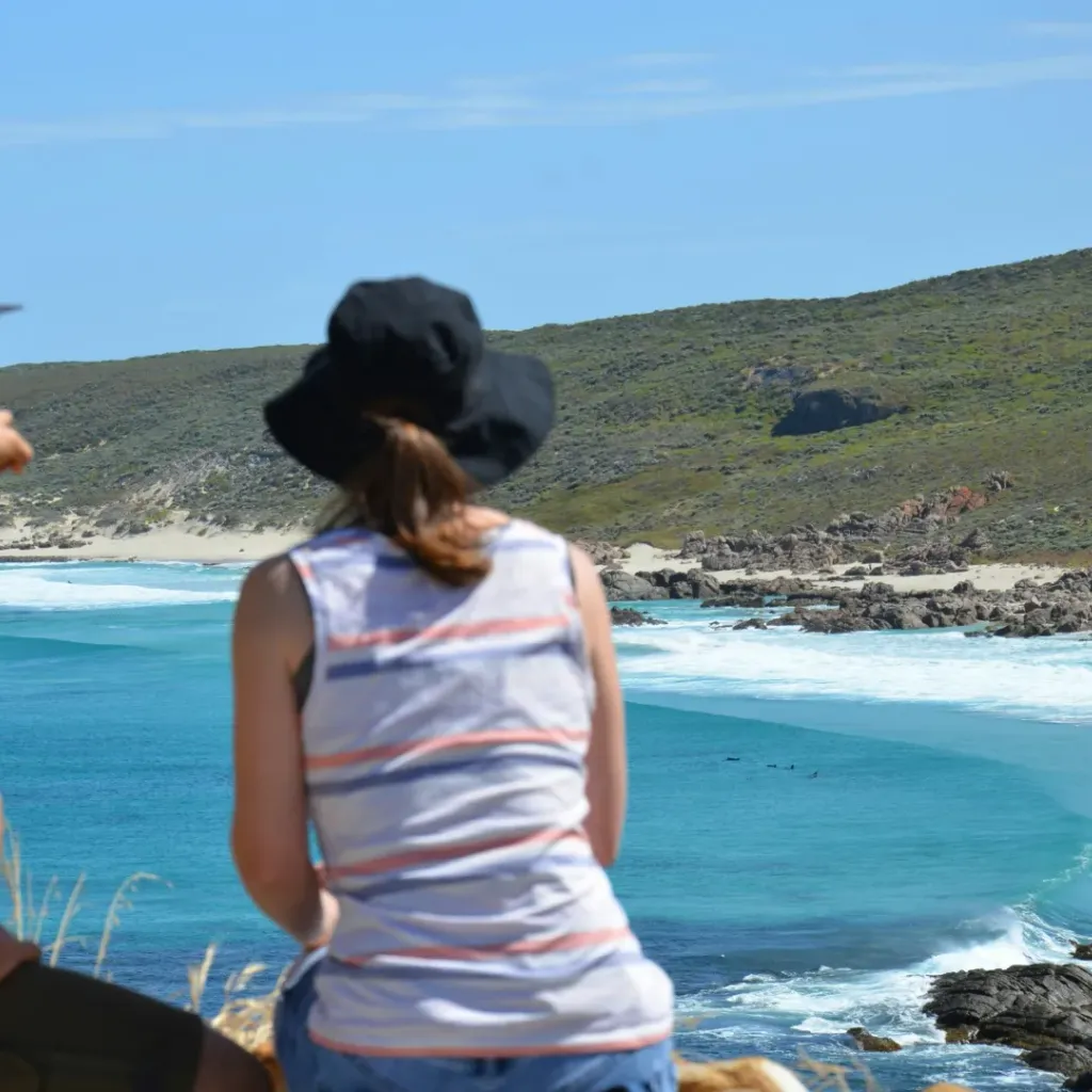 South West Eco Discoveries - 2