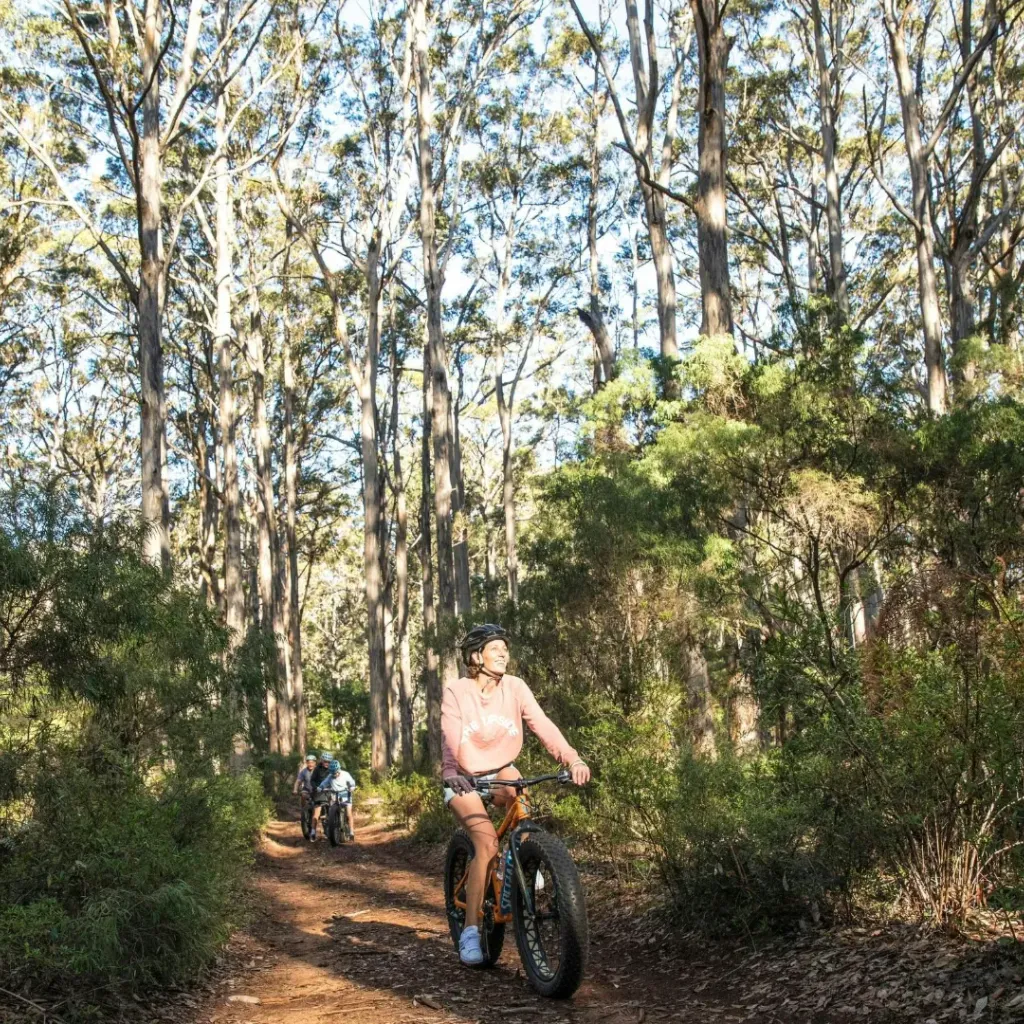 Boranup Forest Viewpoint - 1