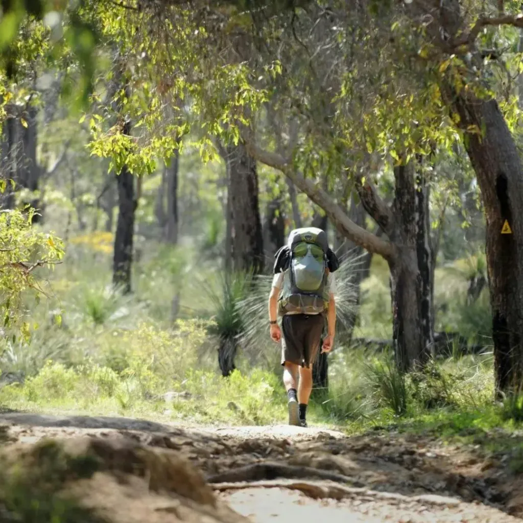 Kalamunda National Park - 4