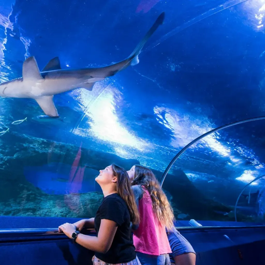 AQWA The Aquarium Of Western Australia - 3