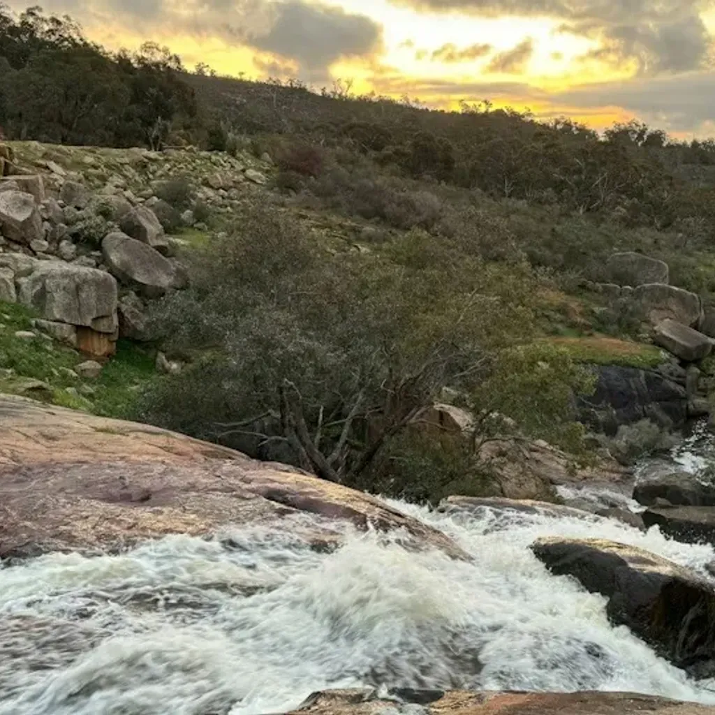 John Forrest National Park - 1