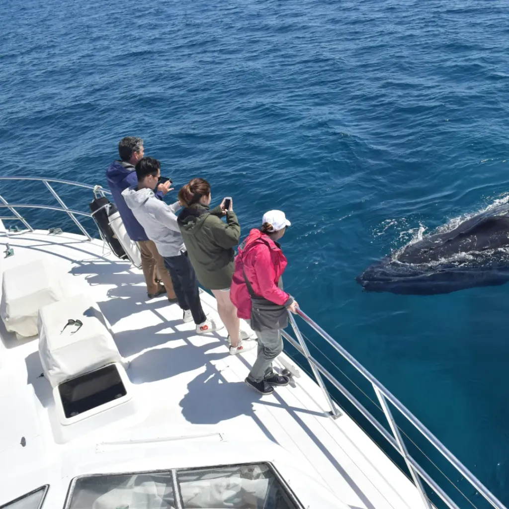 All Sea Charters Eco Tours - 1
