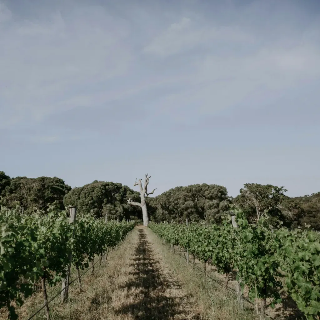 Grace Farm - 3