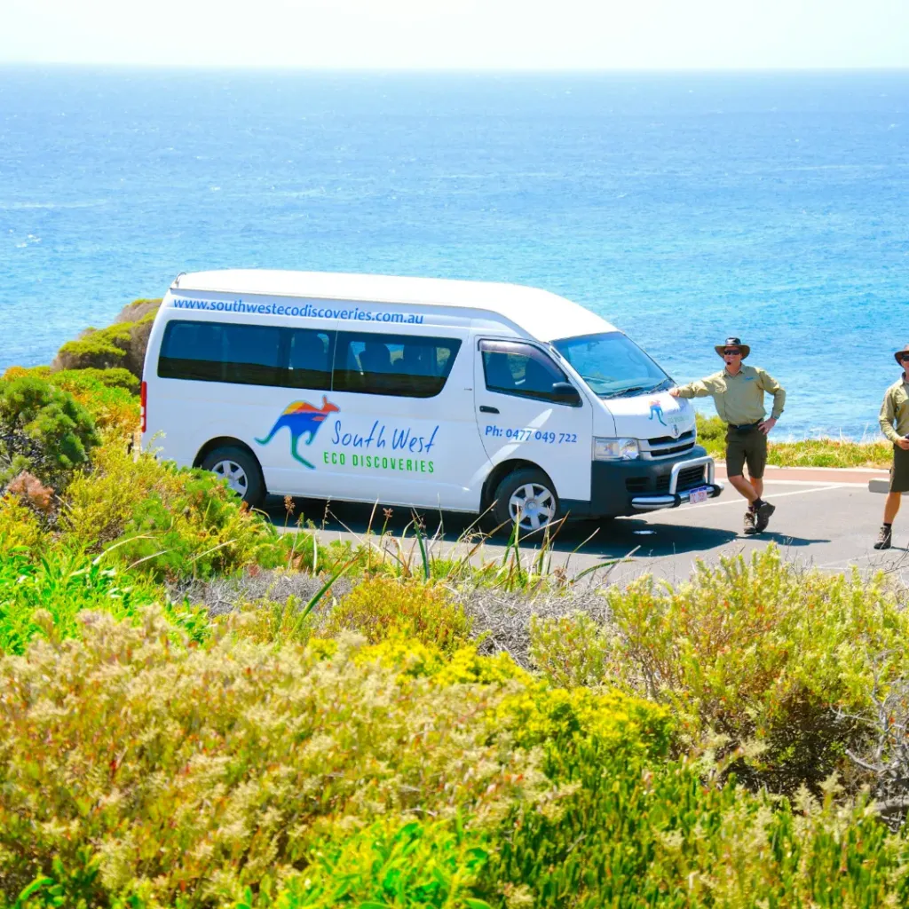 South West Eco Discoveries - 5