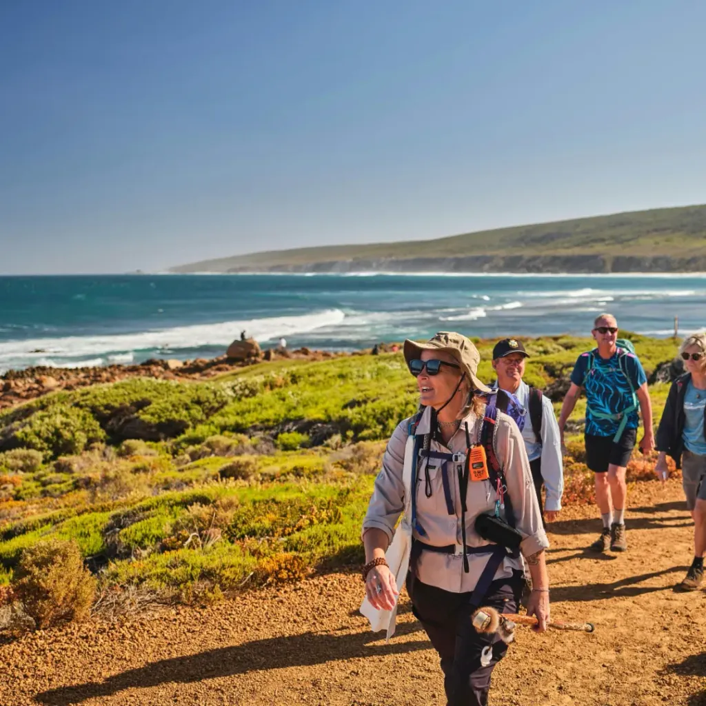 Cape to Cape Track - 4