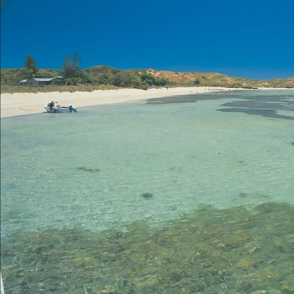 Penguin Island - 2