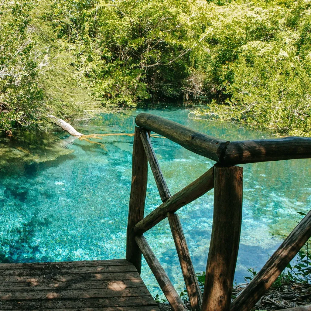 Indigenous Eyes Ecological Reserve - 4