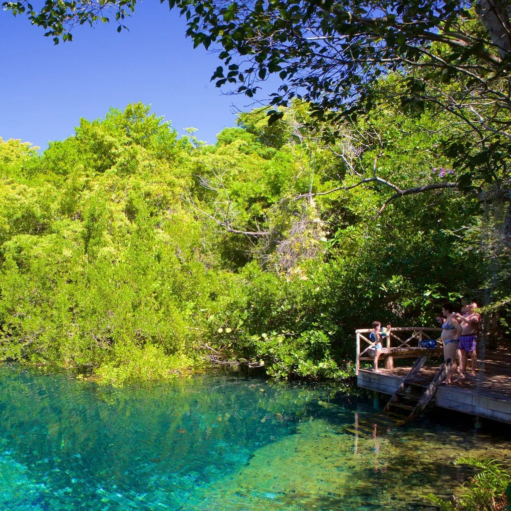 Indigenous Eyes Ecological Reserve - 3