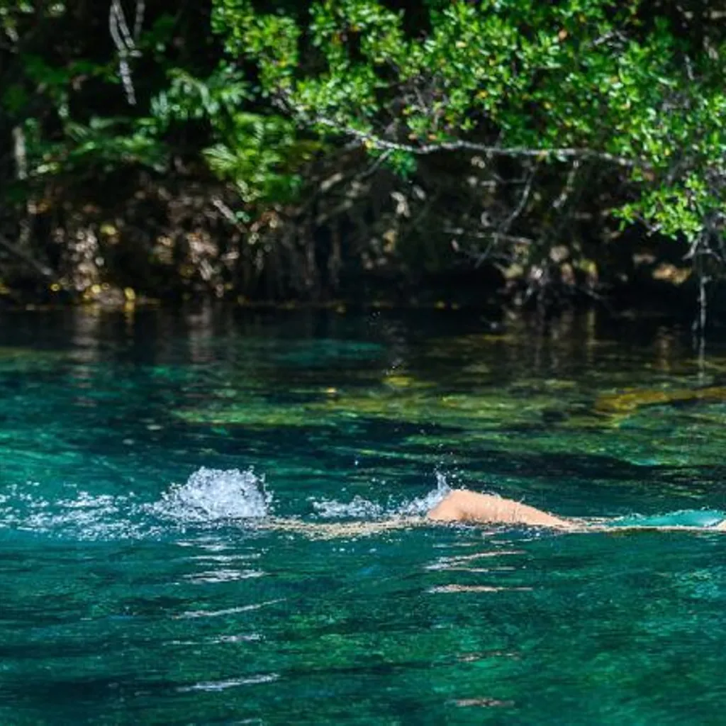 Indigenous Eyes Ecological Reserve - 5