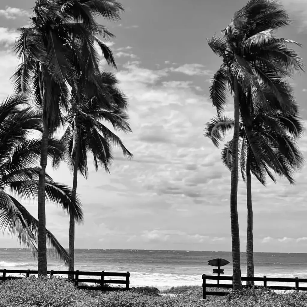 Playa Majahua - 9