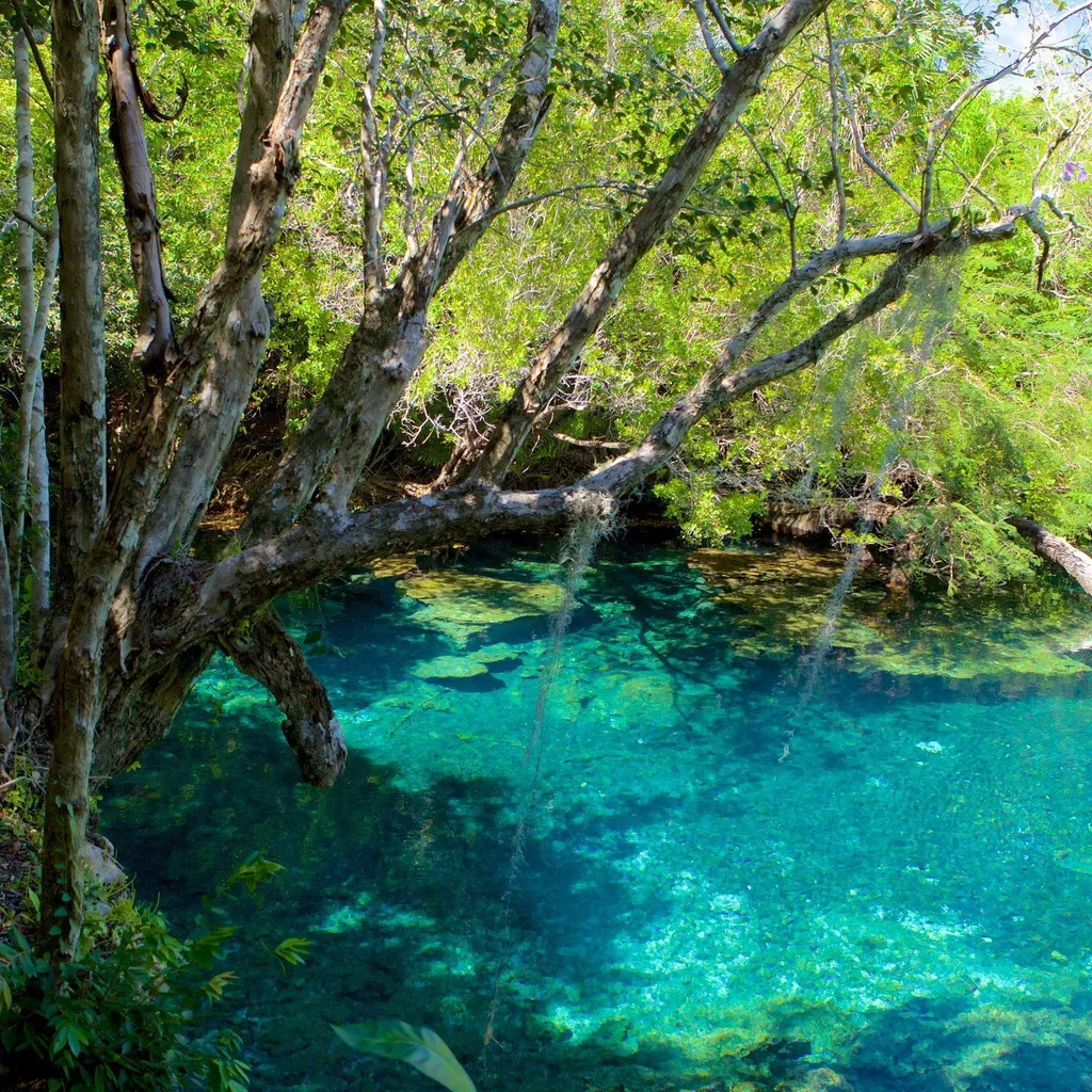 Indigenous Eyes Ecological Reserve - 6