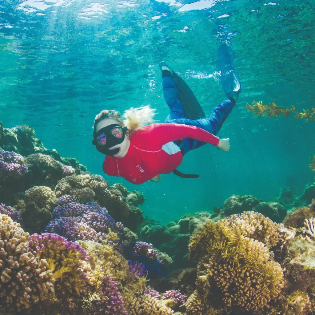 Rottnest Snorkel - 3