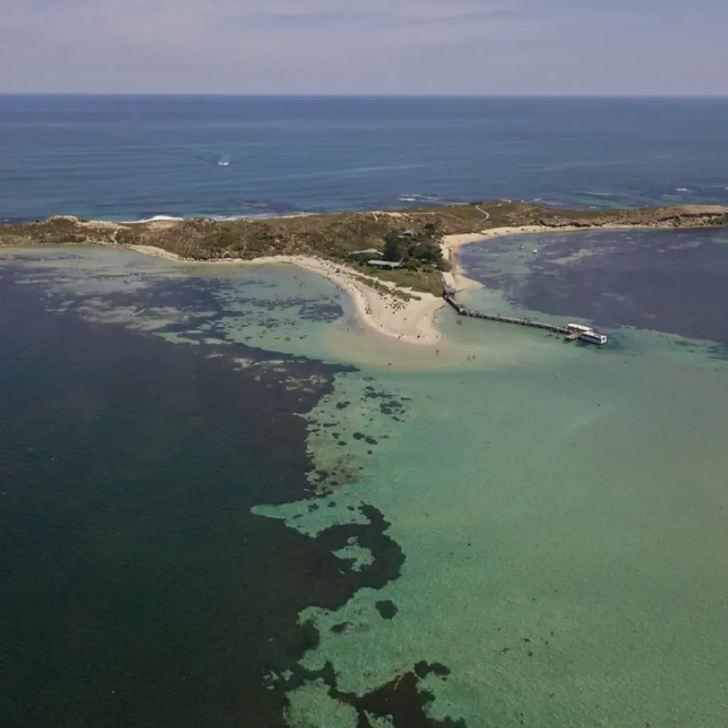 Penguin Island - 3
