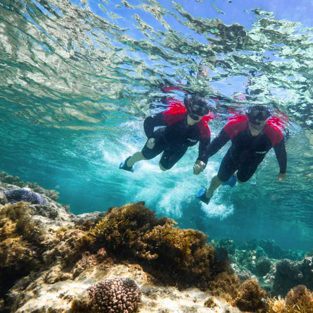Rottnest Snorkel - 2