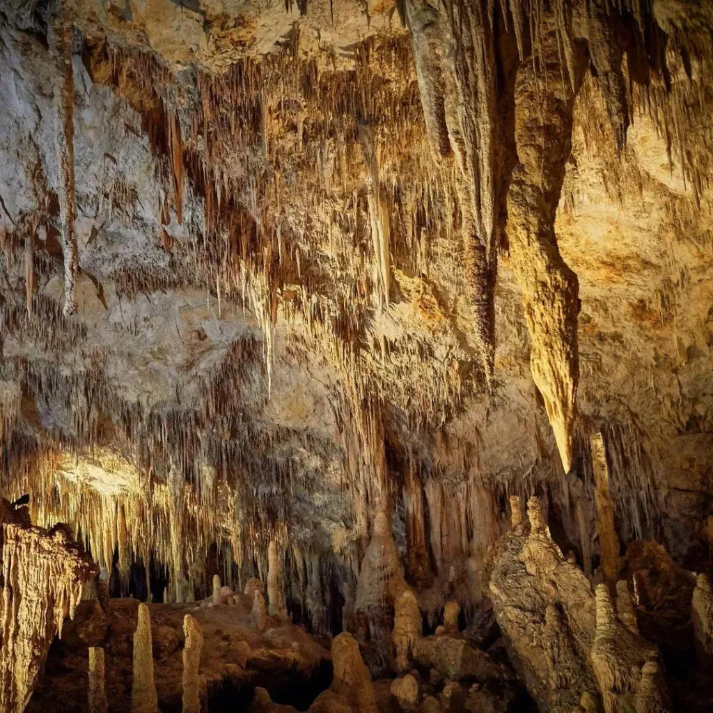 Mammoth Cave - 4