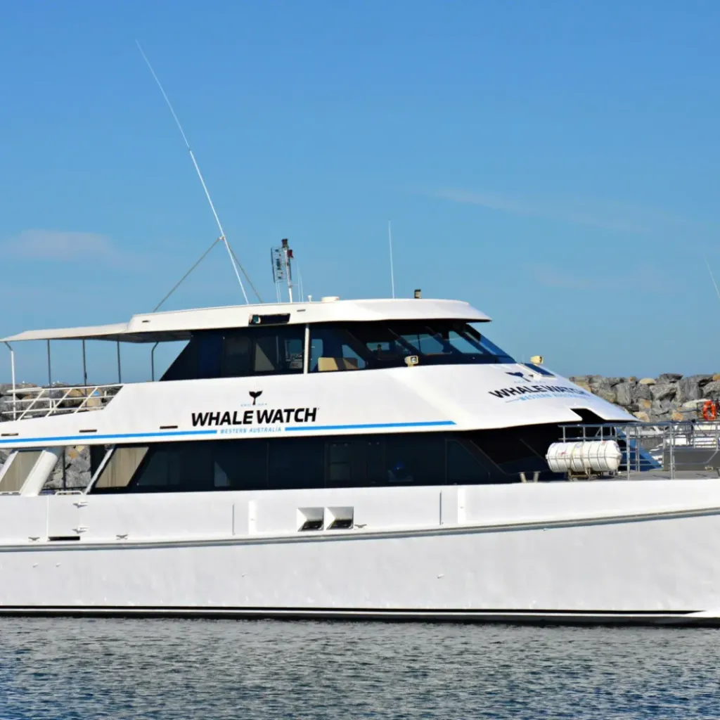 Whale Watch Western Australia - 1