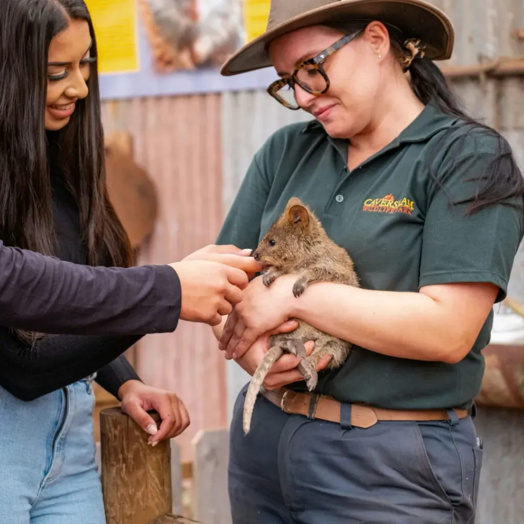 Caversham Wildlife Park - 2