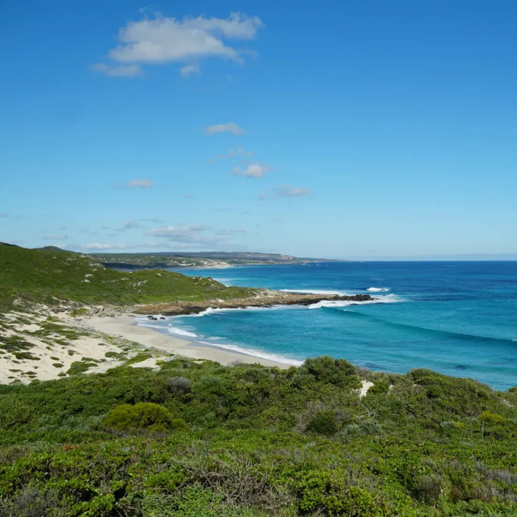 Margaret River Surfing Academy - 2