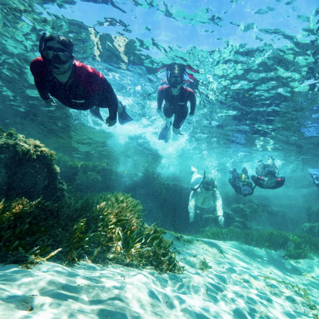 Rottnest Snorkel - 1