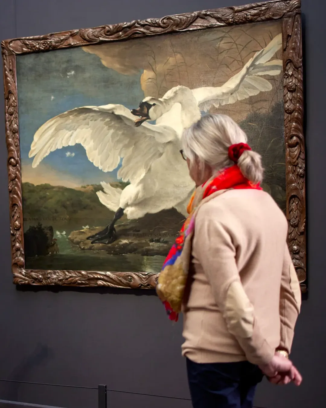 Gallery image 3