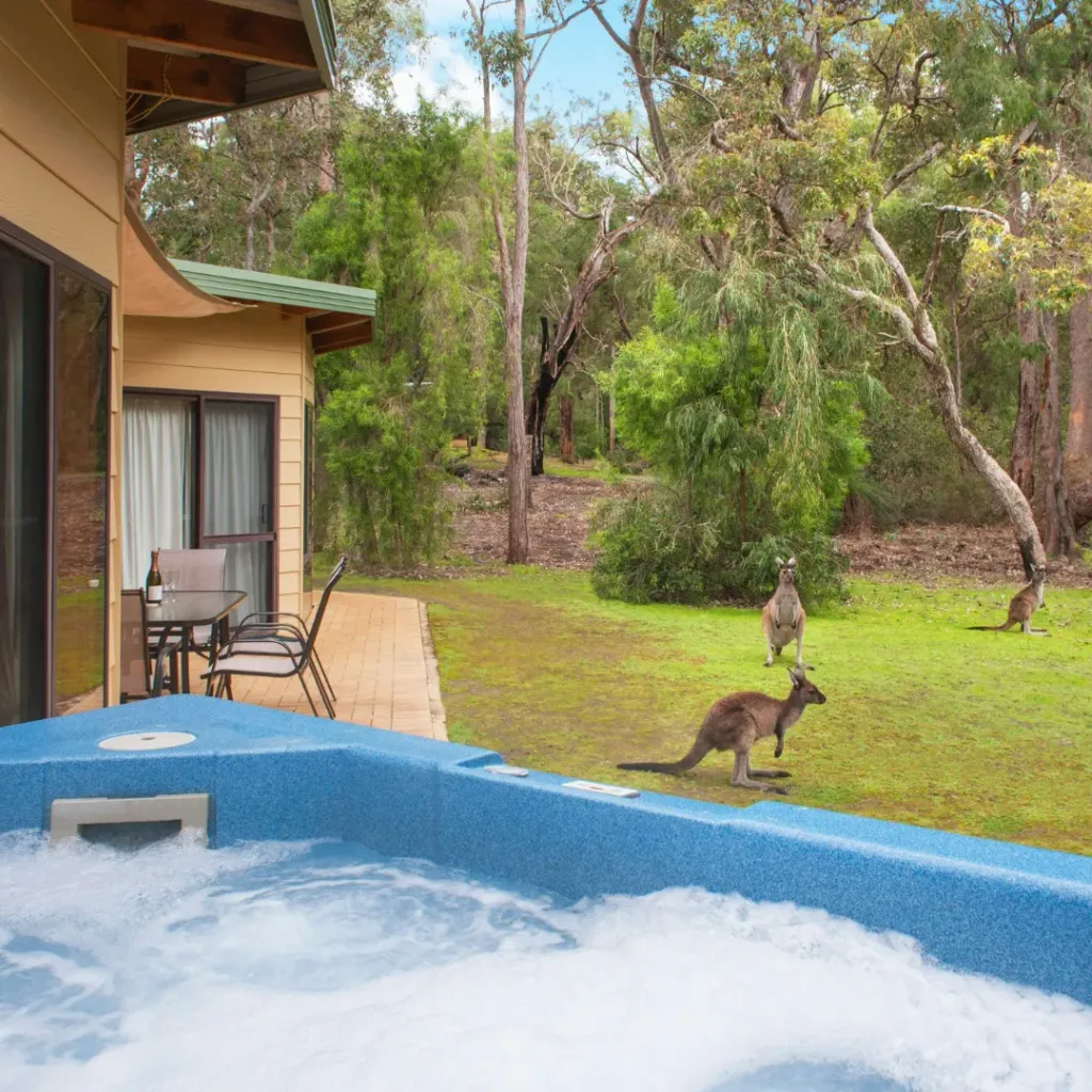 Yelverton Brook Conservation Sanctuary Margaret River Region - 3