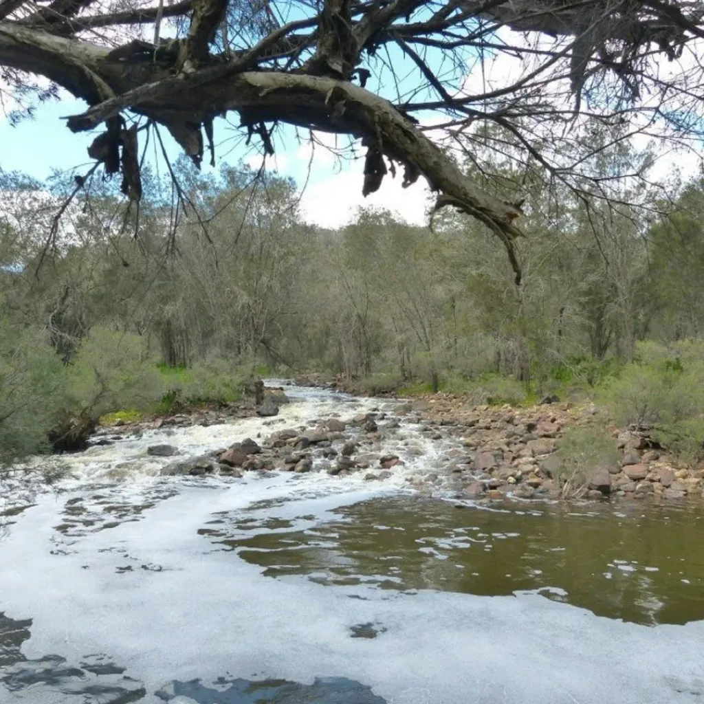 Walyunga National Park - 1