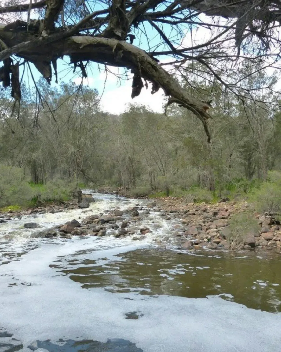 Gallery image 1