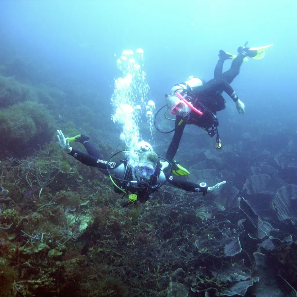 Abrolhos Islands - 2