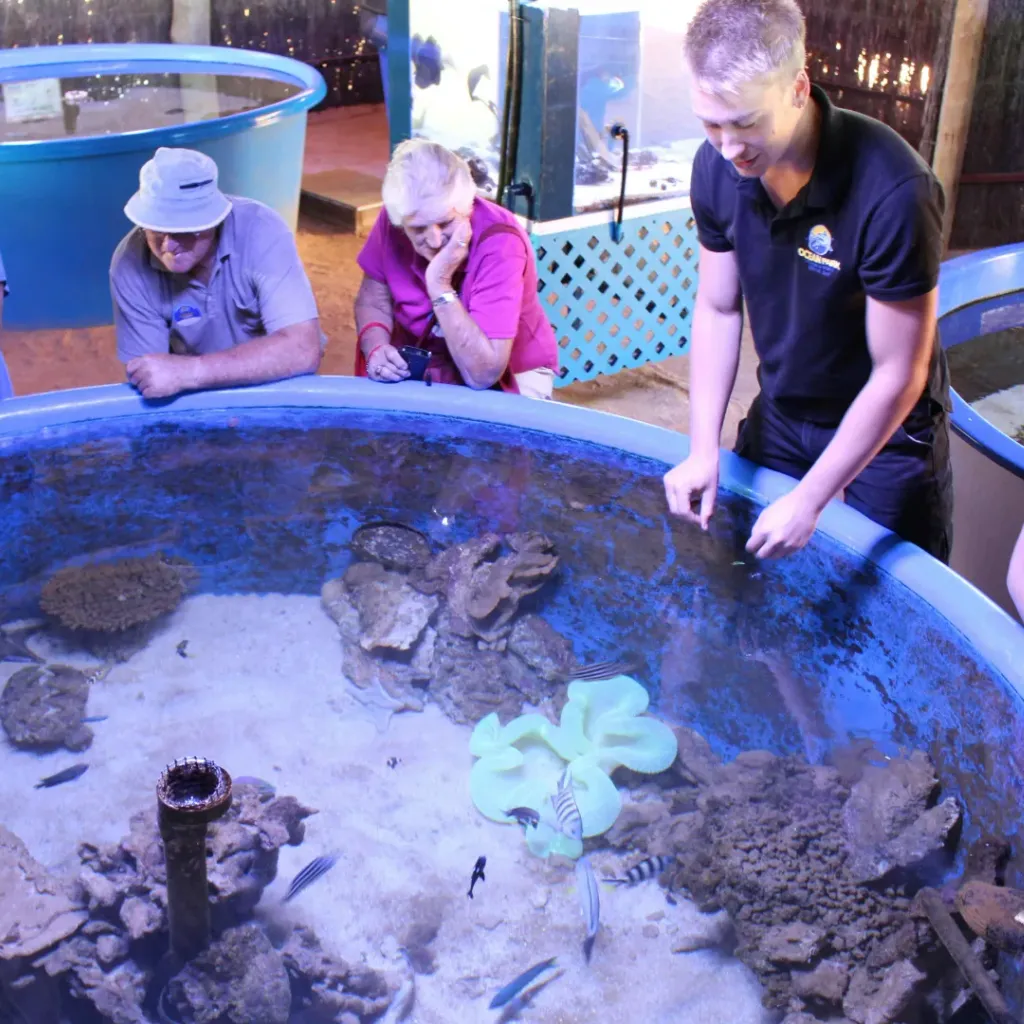 Ocean Park Aquarium - 3