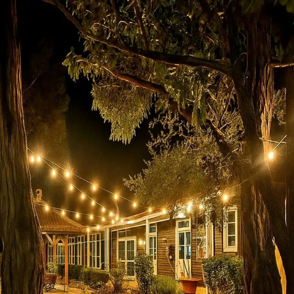 Margaret River Motel - 5