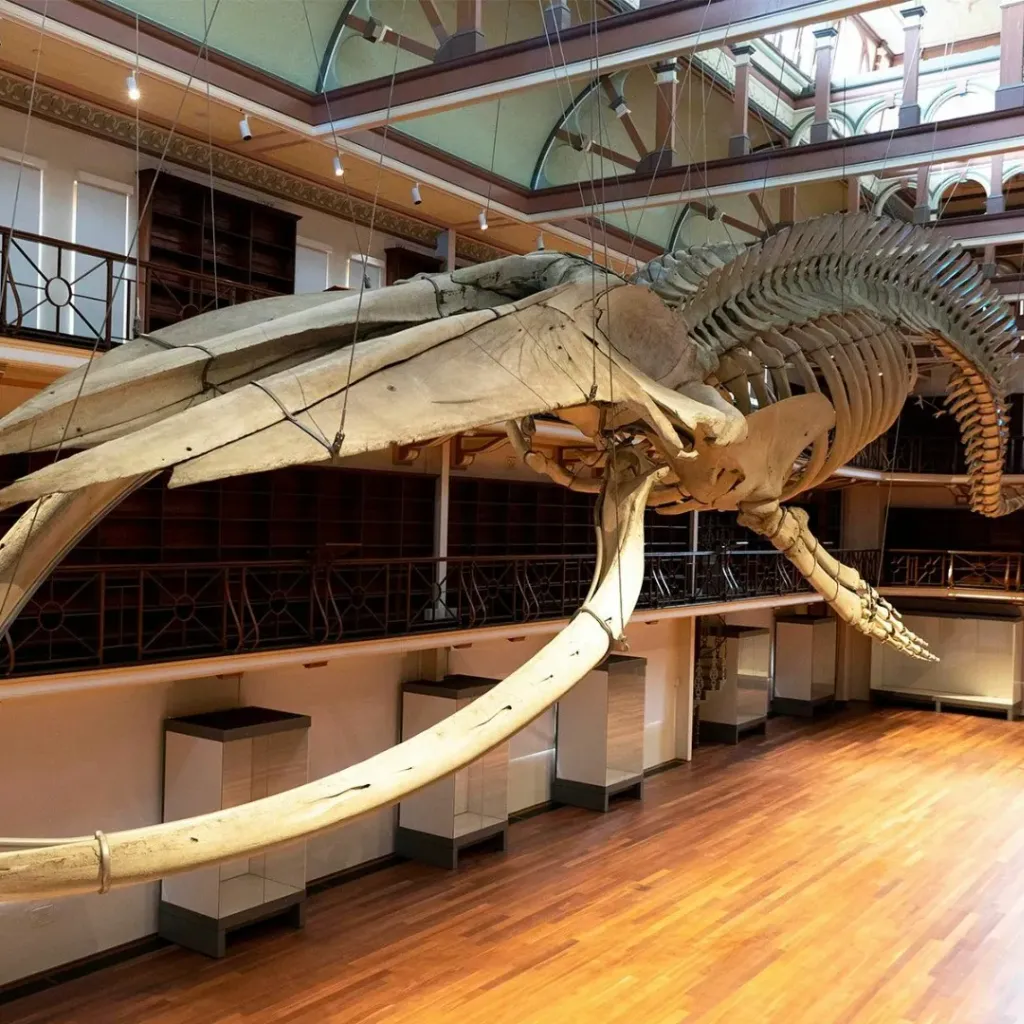 WA Museum Boola Bardip - 3