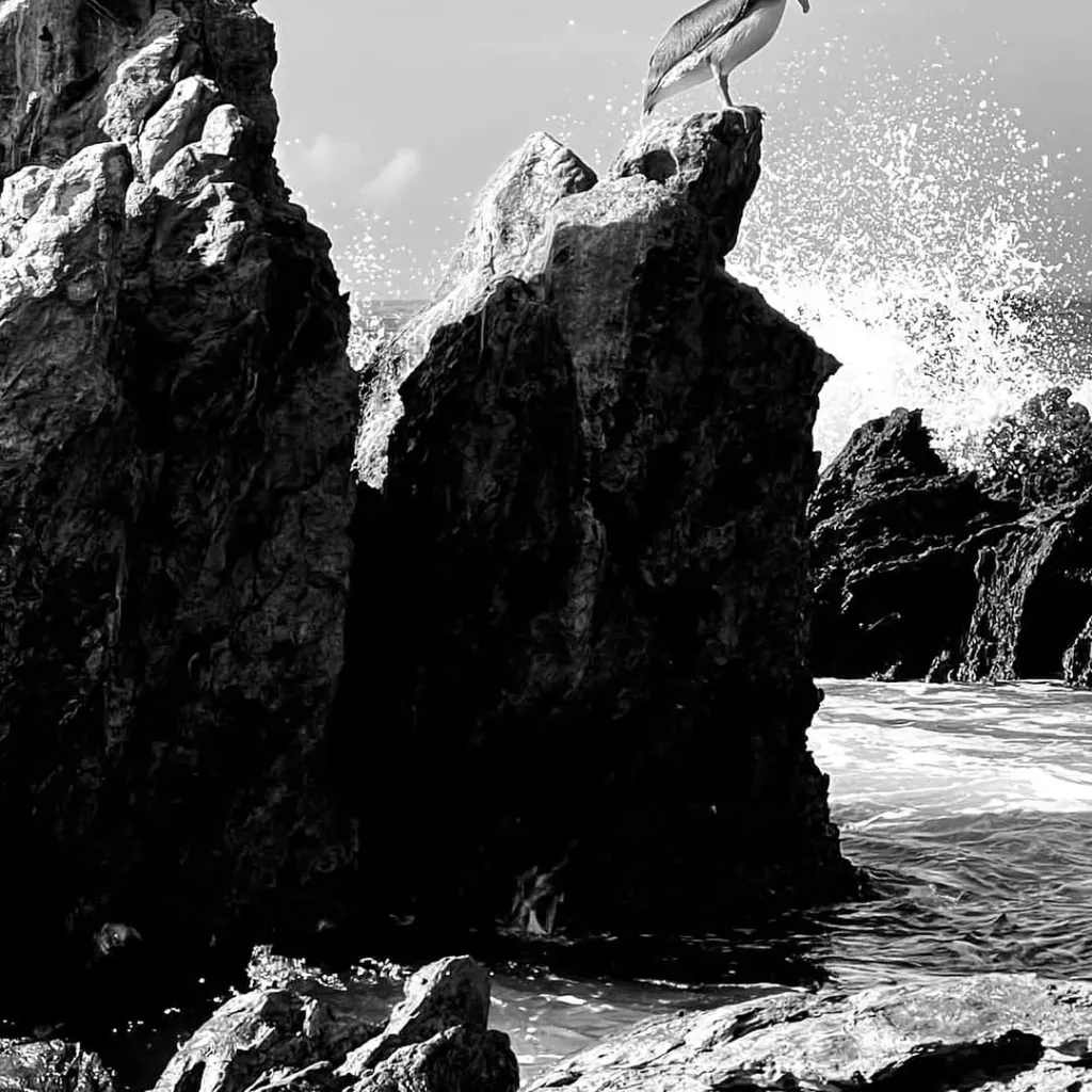 Playa Majahua - 8