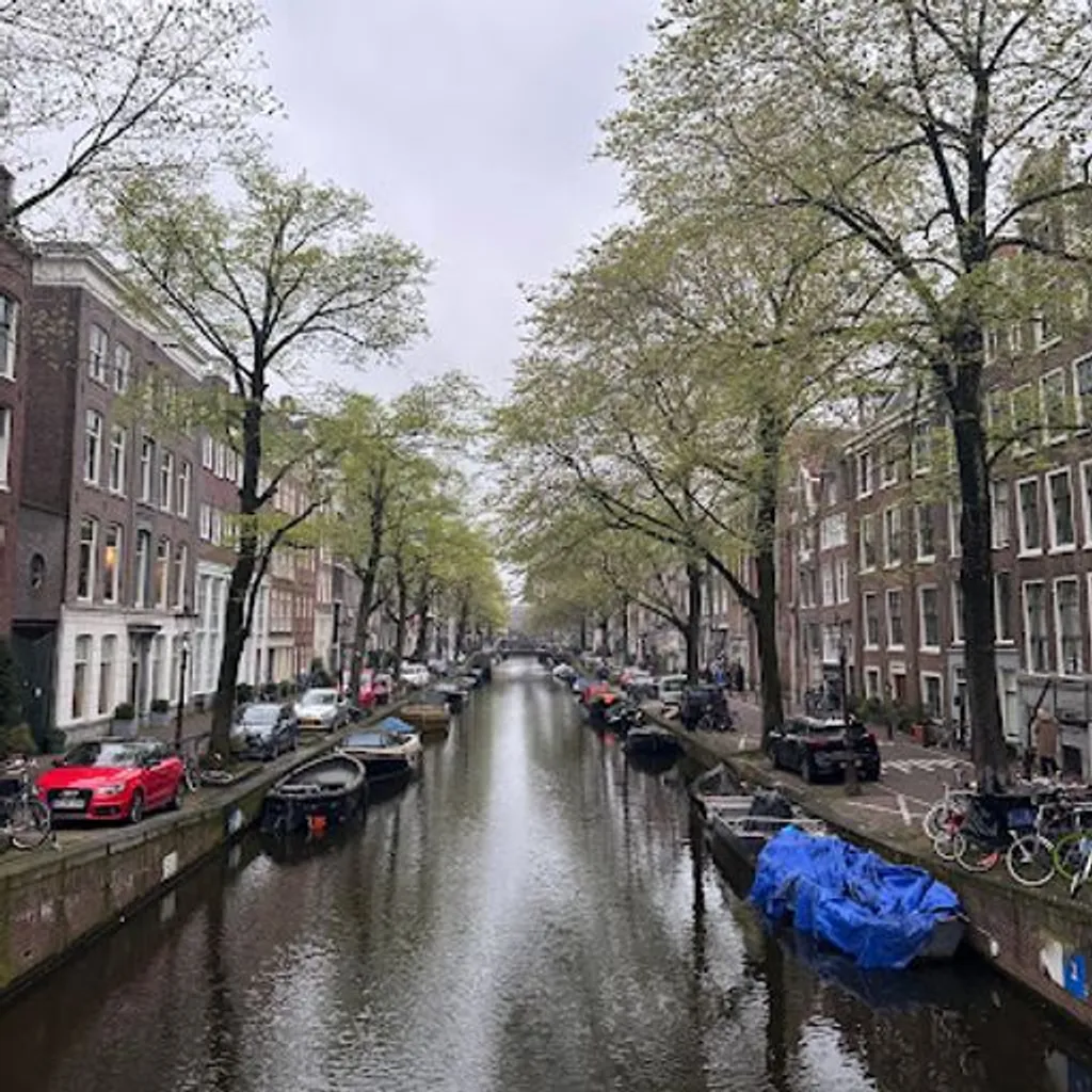 Kafenion Amsterdam - 3