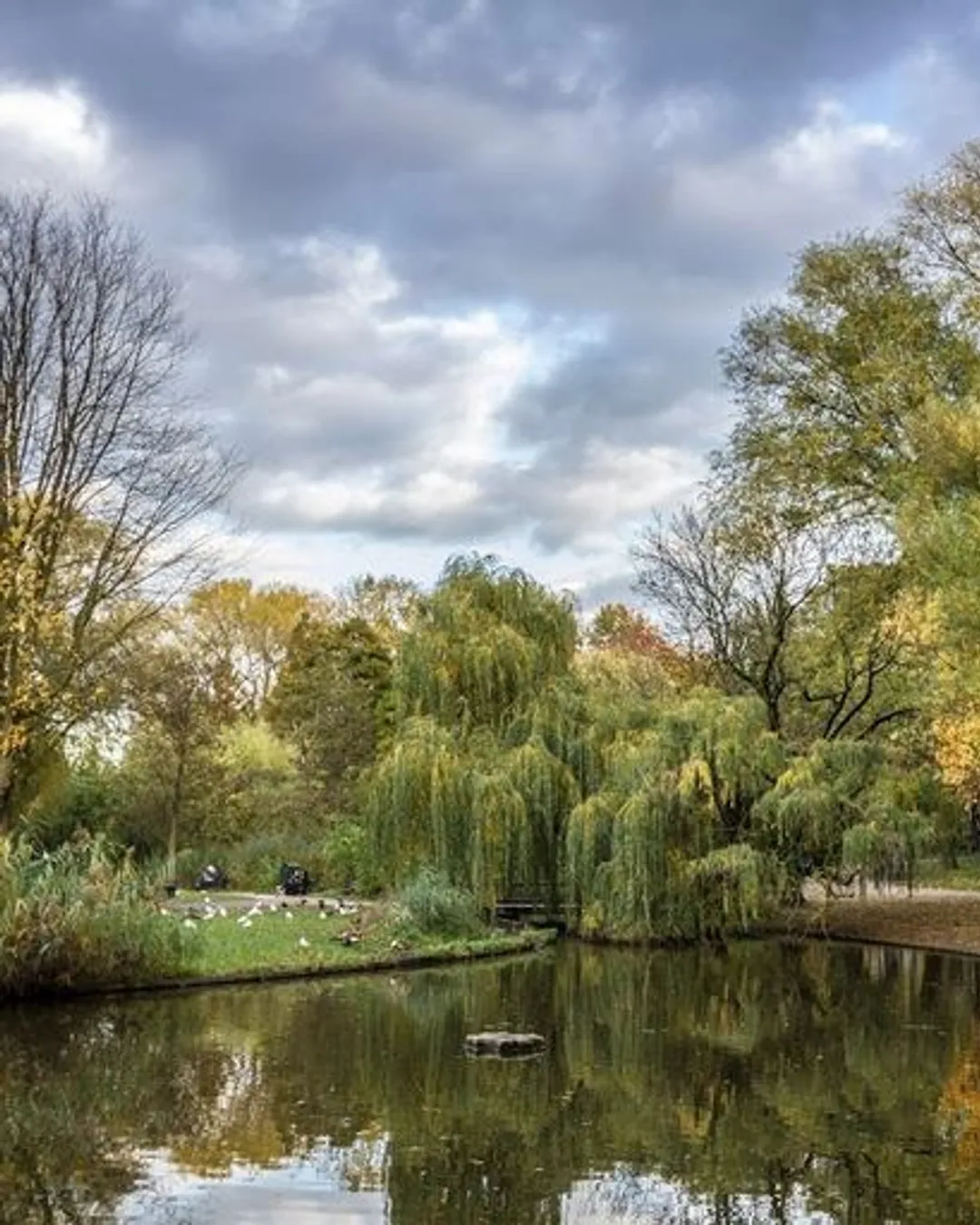Gallery image 1