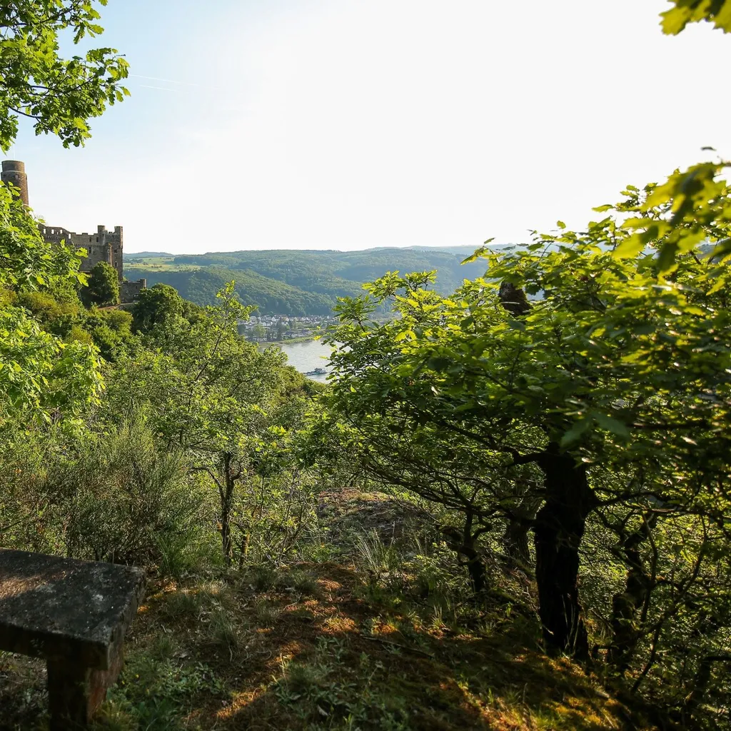 Rheinsteig St. Goar - Kestert - 4